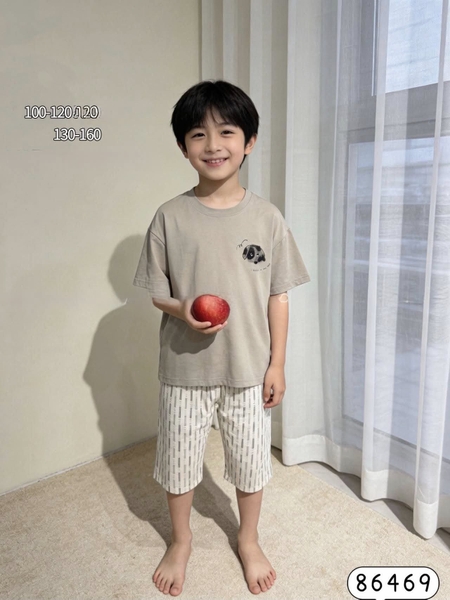 Bộ cotton lửng xuất Hàn 6 mẫu bé trai Mickey, Snoopy