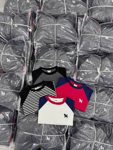 Set 4 áo dài tay raglan thêu basic xám, đỏ, đen, trắng