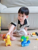 Xếp hình lego miếng lớn FEELO
