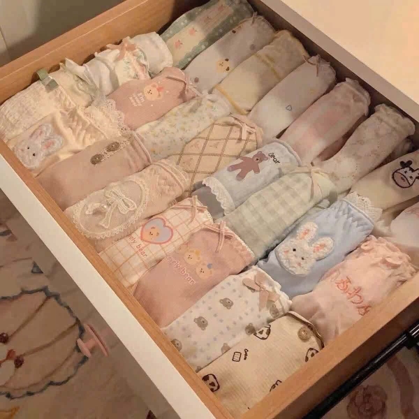 Set 8 quần chip cotton nguyên chất loại cao cấp 7A kháng khuẩn bóc túi mù