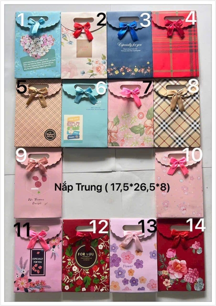 Túi giấy đựng quà có nắp nơ dán 2 size