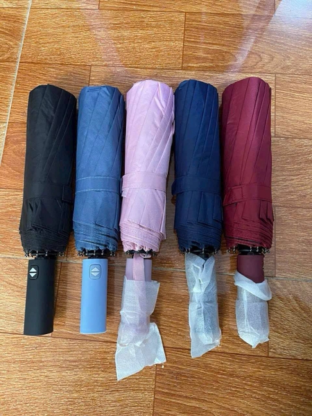 Ô cầm tay tự động 12 nan 5 màu đen, hồng, đỏ, xanh đậm, xanh nhạt, đen