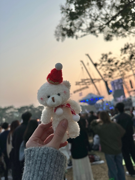 Gấu bông quà tặng Noel 2024