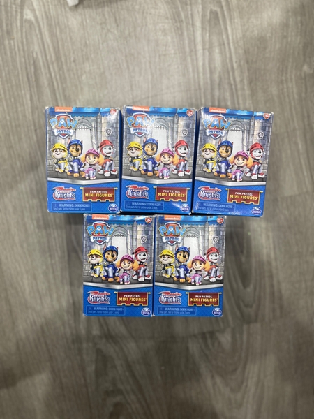 Paw Patrol rescue Knights blind box