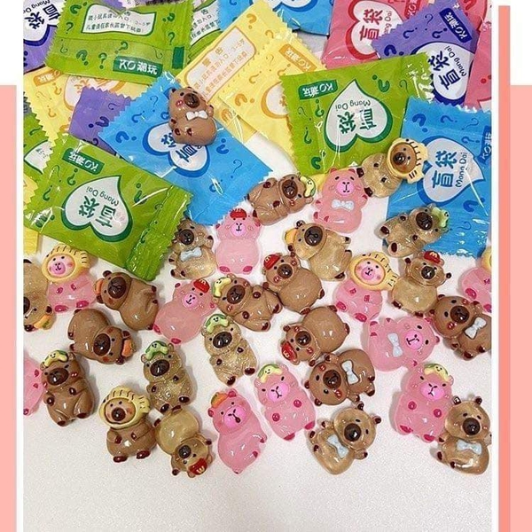 Combo 30 túi mù blind box Capybara