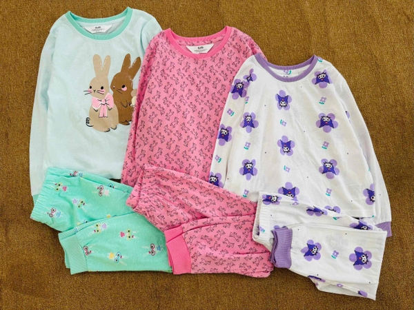 Bộ cotton dài tay Hiunikids 8 mẫu Cinnamoroll, Bướm, Thỏ xanh, Ngựa Unicorn, Hello kitty, Kuromi hồng, Kuromi tím, Bluey