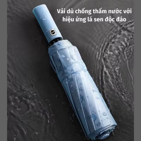Ô cầm tay tự động 12 nan 5 màu đen, hồng, đỏ, xanh đậm, xanh nhạt, đen