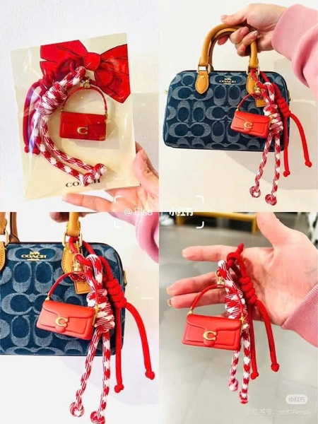 Charm treo túi 3 chi tiết hãng COACH