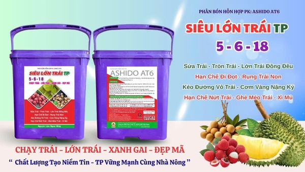 sieu-lon-trai-tp-5-6-18