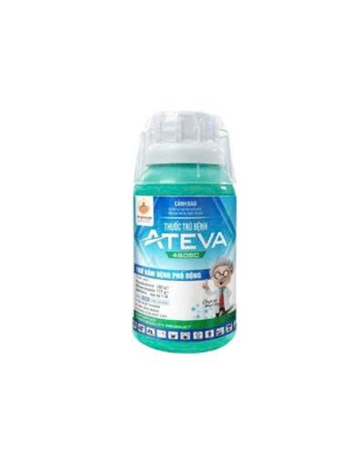 ateva