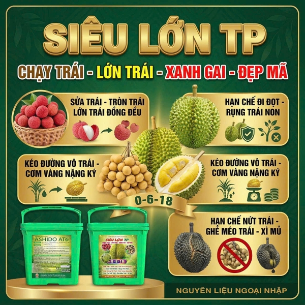 sieu-lon-tp-0-6-18