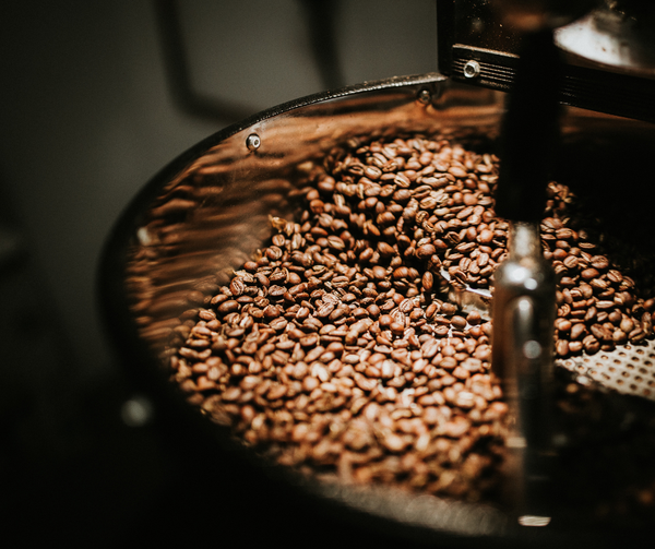Robusta BMT – rang vừa