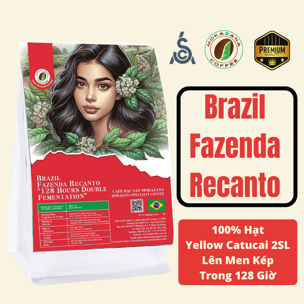 Cà phê Brazil Yellow Catucai 2SL, 128 tiếng lên men kép (Medium)
