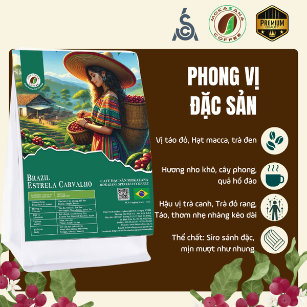 Cà phê Brazil Yellow Bourbon – Hương nho khô, maple, pecan | Mokazana