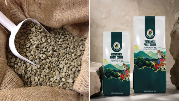 Cà phê nhân Robusta