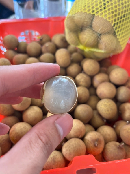 Vietnamese Longan Conquers Global Markets: Opportunities and Challenges