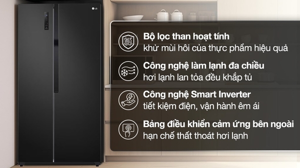 Tủ lạnh LG Inverter 519 lít GR-B256BL