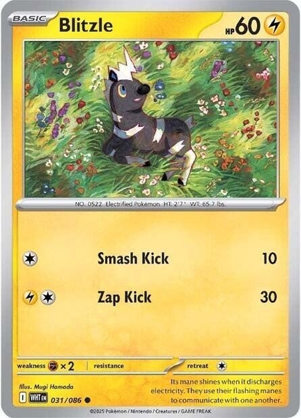 Thẻ hình Pokemon Blitzle 031/086 - Lá bài lẻ White Flare Common Reverse Holo tiếng Anh chính hãng