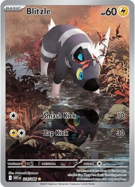 Thẻ hình Pokemon Blitzle 114/086 - Lá bài lẻ White Flare Illustration Rare tiếng Anh chính hãng