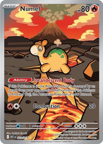 Thẻ hình Pokemon Numel 223/217 - Lá bài lẻ Ascended Heroes Illustration Rare tiếng Anh chính hãng