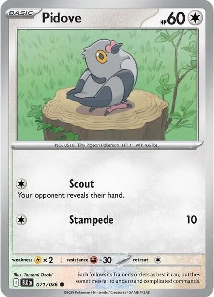 Thẻ hình Pokemon Pidove 071/086 - Lá bài lẻ Black Bolt Common Reverse Holo tiếng Anh chính hãng