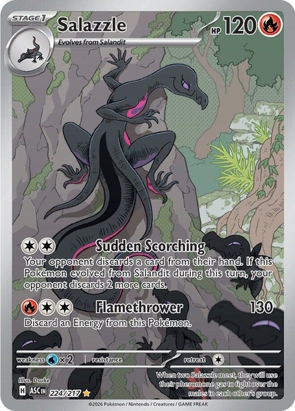 Thẻ hình Pokemon Salazzle 224/217 - Lá bài lẻ Ascended Heroes Illustration Rare tiếng Anh chính hãng