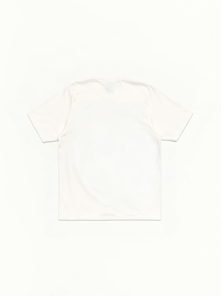 TEST 51