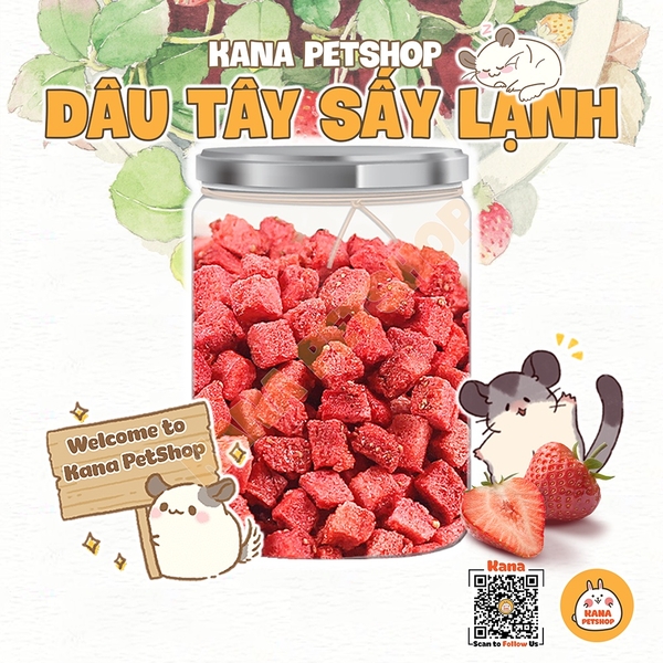 Dâu Tây Sấy Hamster 🐹FREESHIP🐹 Đồ Ăn Vặt Dâu Tây Sấy Lạnh Thức Ăn Dặm Bổ Sung Dinh Dưỡng Cho Hamster, Sóc, Sóc Bay Úc ..