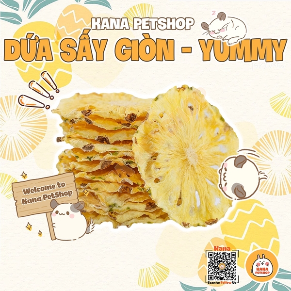 Dứa Sấy 🐹FREESHIP🐹 20G Thơm Sấy Lạnh Thức Ăn Thải Búi Lông cho Thỏ, Bọ, Hamster, Sóc ...
