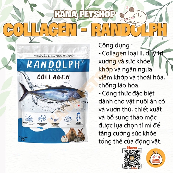 Bánh Cỏ Randolph Bổ Sung Các Loại Vitamin 🐹FREESHIP🐹 Bánh Cỏ RanDolph  Treat Cho Thỏ , Chinchilla , Sóc , Bọ Hamster ...