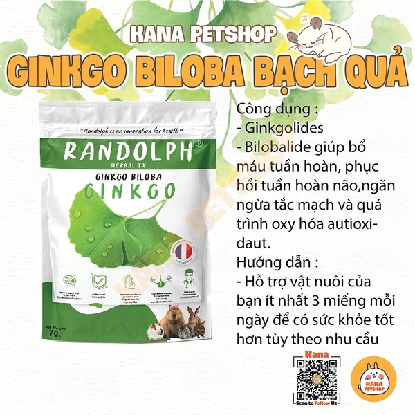 Bánh Cỏ Ginkgo Biloba Bạch Qủa 🐹FREESHIP🐹 Bánh Cỏ RanDolph Treat Cho Thỏ , Chinchilla , Sóc , Bọ , Hamster  ...
