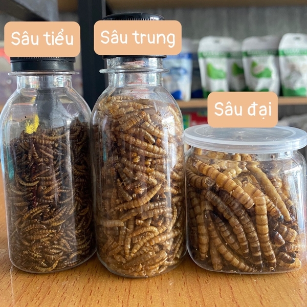 Sâu Sấy Khô Hamster 🐹FREESHIP🐹Thức Ăn Dặm Sâu Rang Bơ Dinh Dưỡng Bổ Sung Canxi Hamter ,Nhím , Chim
