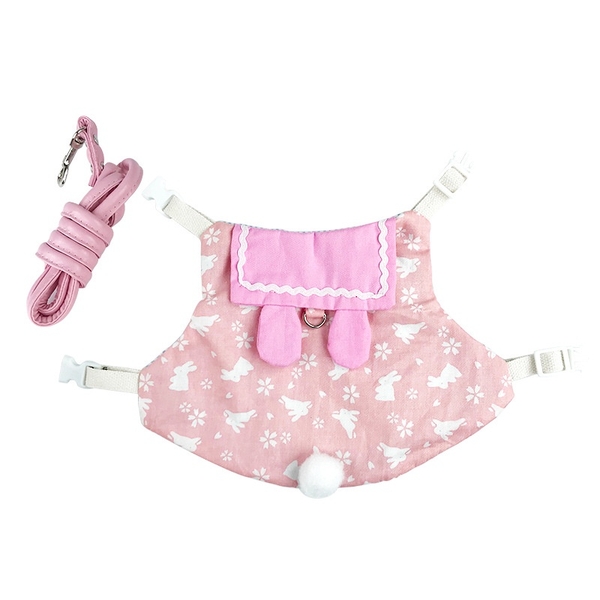 Dây Dắt Set Váy Áo Quần Cho Thỏ .Dây Dắt Váy Công Chúa Nhiều Họa Tiết Cho Thỏ, Sóc, Mèo , Chó Nhỏ ....