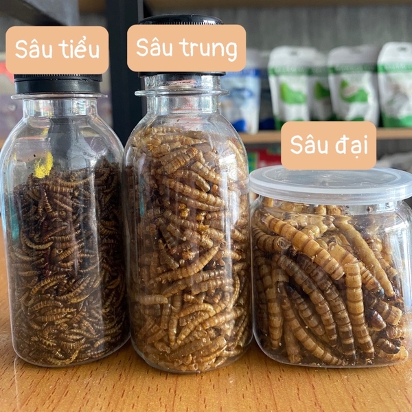 Sâu Sấy Khô Hamster 🐹FREESHIP🐹Thức Ăn Dặm Sâu Rang Bơ Dinh Dưỡng Bổ Sung Canxi Hamter ,Nhím , Chim