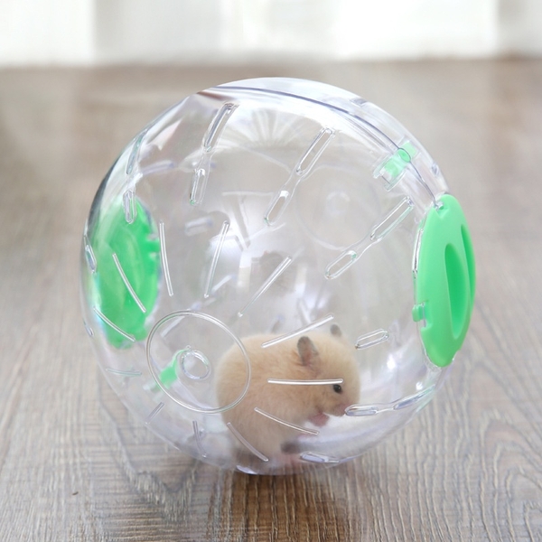Banh Chạy Cho Hamster Mika Boer Siêu Xinh Hamster Sóc Nhím