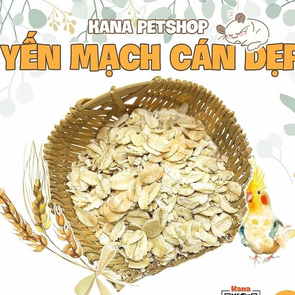 Yến Mạch 100G