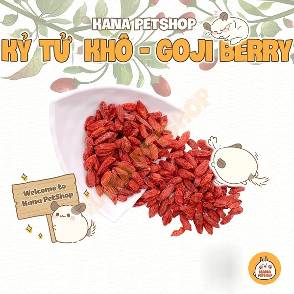 Kỷ Tử Khô Thức Ăn Hamster 🐹FREESHIP🐹 Kỉ Tử Thức Ăn Dặm Dinh Dưỡng Cho Hamter , Nhím , Chim , Sóc ....