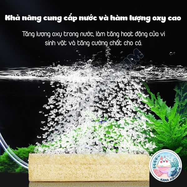 Sứ Thanh, Sứ Muối Tiêu Yee 🐟 FREESHIP 🐟 Vật Liệu Sứ Lọc Hỗ Trợ Nuôi Vi Sinh Chất Lượng Vượt Trội Yee