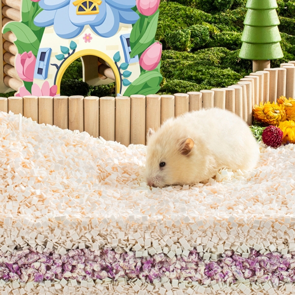 Lót Chuồng Hamster 🐹FREESHIP🐹 Giấy Sữa Vuông Không Bụi Siêu Thấm Lót Chuồng Hamster, WinterWhite, Bear, Robo, Rat ...