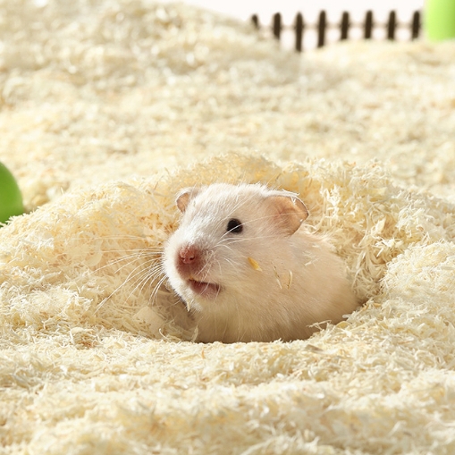 Lót Chuồng Gỗ Dương Nhung Yee 🐹FREESHIP🐹 Mùn Gỗ Dương Nhung Khửi Mùi Tạo Hình Hang Đào Cho Hamster Bear, WinterWhite