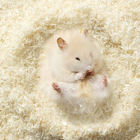 Lót Chuồng Gỗ Dương Nhung Yee 🐹FREESHIP🐹 Mùn Gỗ Dương Nhung Khửi Mùi Tạo Hình Hang Đào Cho Hamster Bear, WinterWhite