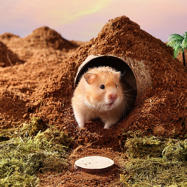 Lót Chuồng Hamster Mùn Dừa Bucatstate 🐹FREESHIP🐹 Mùn Dừa Bucatstate Xơ Dừa Lót Ổ Cho Hamster, Bò Sát