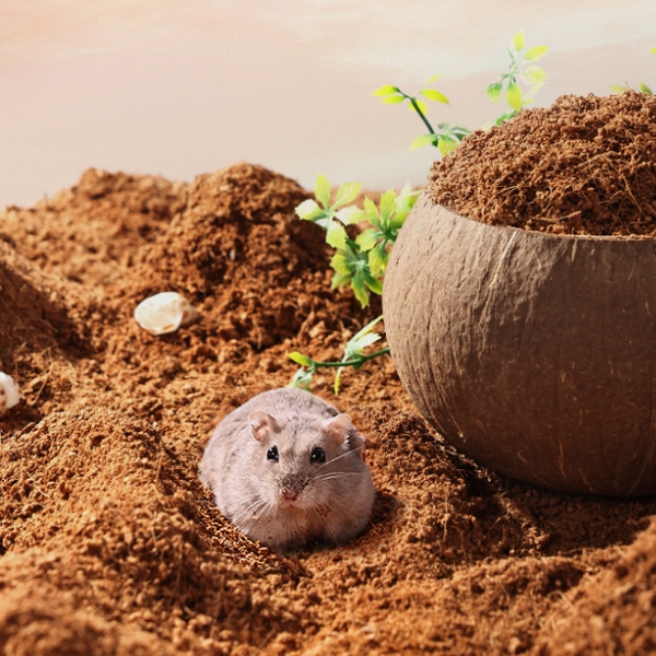 Lót Chuồng Hamster Mùn Dừa Bucatstate 🐹FREESHIP🐹 Mùn Dừa Bucatstate Xơ Dừa Lót Ổ Cho Hamster, Bò Sát