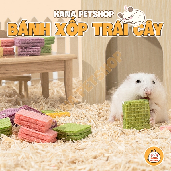 Bánh Xốp Trái Cây Hamster 🐹FREESHIP🐹 Bánh Waffle Ăn Vặt Bổ Sung Dinh Dưỡng Cho Hamster, Sóc, Sóc Bay, Nhím, Rat .....