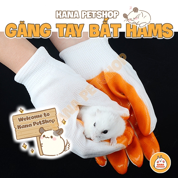 Găng Tay Bắt Hamster 🐹FREESHIP🐹 1 Cái Găng Tay Bọc Nhựa Bắt Hamster Chống Hamster Cắn