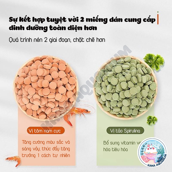 Thức Ăn Dán Kính Cao Cấp Yee 🐟 FREESHIP 🐟 Thức Ăn Dán Hồ Giàu Dinh Dưỡng Kích Màu Cho Cá Cảnh