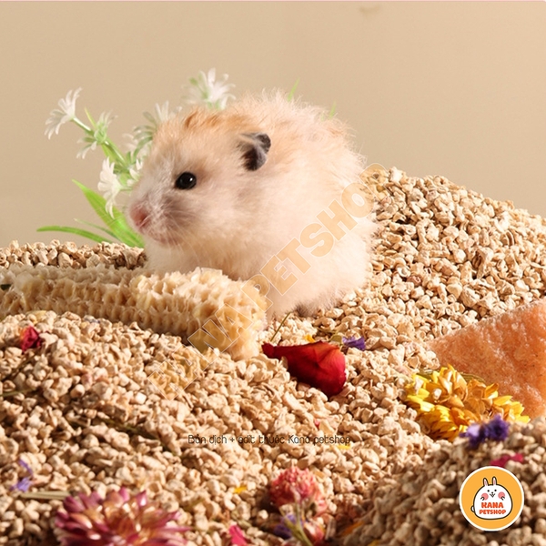 Lõi Ngô Cùi bắp Lót Chuồng Bucatstate cho hamster và thú nhỏ, Bò Sát