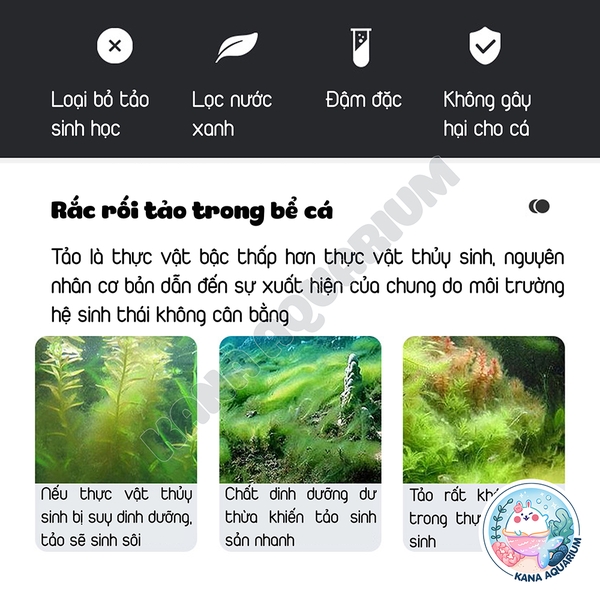 ALGAECIDE Ngăn Ngừa Rêu Tảo 🐟 FREESHIP 🐟 YEE Hạn Chế Rêu Tảo An Toàn Không Gây Hại Cho Cá
