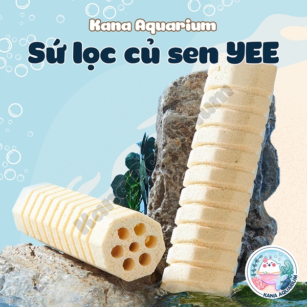 Sứ Lọc Củ Sen Yee 🐟 FREESHIP 🐟 Vật Liệu Lọc Cao Cấp Cho Hồ Cá , Bể Cá Giúp Bổ Sung Khoáng Chất