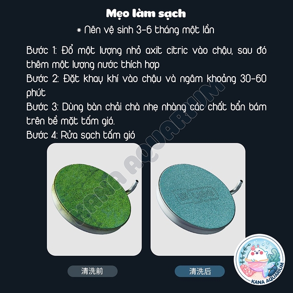 Đĩa Sủi Oxy Bể Cá Siêu Mịn Yee 🐟 FREESHIP 🐟 Cốc Sủi Oxy Air Pan Siêu Êm Yee Đầy Đủ Phụ Kiện
